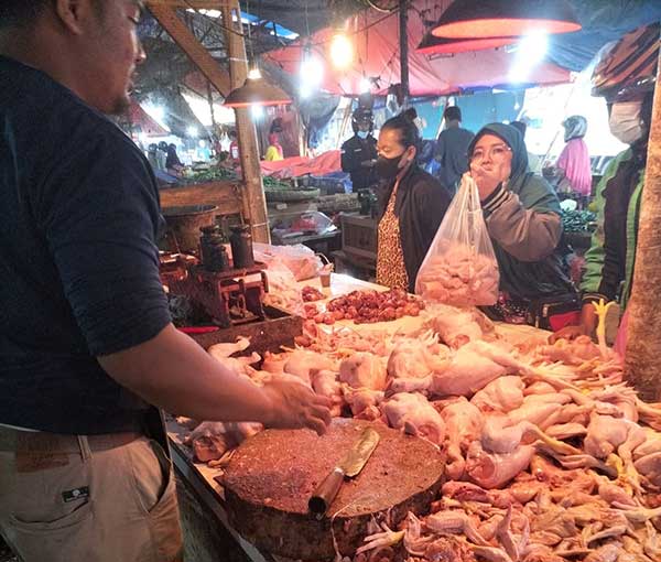 penjual daging ayam