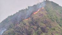 Lima hektare lahan lereng Gunung Puncak Habibie Sukabumi Hangus terbakar