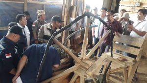 DLH Kabupaten Sukabumi Himbau Tambang Emas Tidak gunakan Cairan Merkuri, Berbahaya untuk Lingkungan