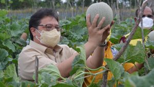 Menko Airlangga Apresiasi Terobosan Kalsel, Bantu Isoman Covid-19 dengan Hasil Panen Petani