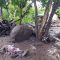 BANJIR