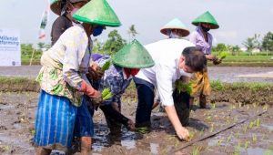 Dukung Smart Farming, Menko Airlangga Yakin Petani Milenial Bisa Bantu Tingkatkan Ketahanan Pangan