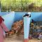 bank sampah