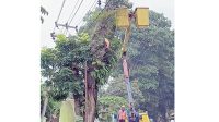 Ganguan Listrik di Sukabumi 90 Persen Akibat Pohon Tumbang