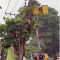 PLN UP3 Sukabumi