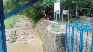 Hulu Sungai Ciliwung Makin Kritis, Bahaya!