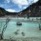 Wisata Kawah Putih