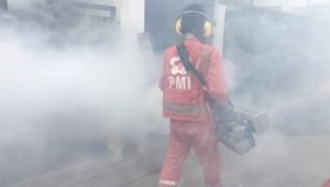 DBD di Kota Bekasi Tembus 1.554 Kasus