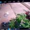 Rekaman CCTV Maling Motor