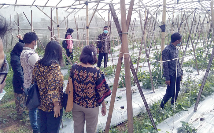 Agribisnis-UMMI