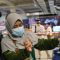 Bogor Rabbit Show 1 di Mal Boxies 123