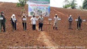 Dinas Pertanian Kabupaten Sukabumi Tanam Kacang Tanah 2,4 Ribu Ha