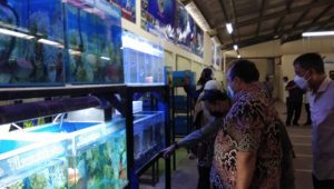 Bogor Aquatic Center, Manjakan Pecinta Ikan Hias