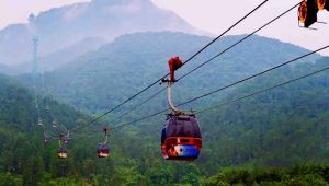 Tolak Proyek Kereta Gantung di Kaki Gunung Gede, FK3I Jabar : TNGGP Bukan Lahan Sirkus Manusia