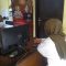Korban Kredit Online