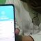 Penipuan Kredit Online