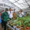 Green House milik Minaqu Indonesia