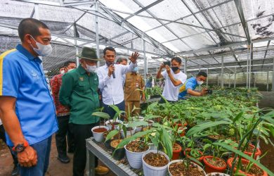 Green House milik Minaqu Indonesia