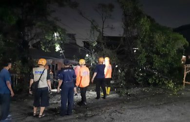 Pohon yang tumbang di Jalan Mekarsari, Bekasi