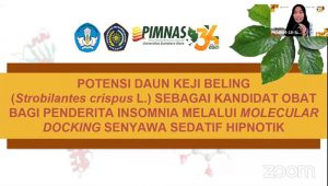 UMMI Sabet PTS Terbaik ke-2 Tingkat Nasional di Ajang PIMNAS