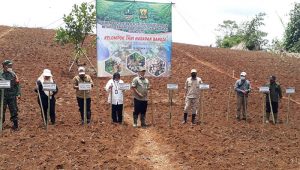 Distan Kabupaten Sukabumi Realisasikan Gerakan Tanam Kacang Tanah, Sudah Capai 2.492 Ha