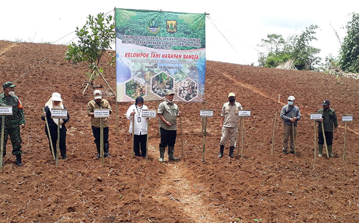 Distan Kabupaten Sukabumi Gerakan Tanam Kacang Tanah