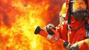 Kabar Mengejutkan, Pembuat Kartun Nabi Muhammad Tewas dalam Kecelakaan Mobil