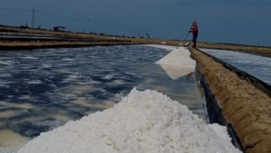 Petani Garam Kesulitan Produksi, Harga Meroket