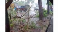Angin Kencang, Pohon Tumbang di Jalan Raya Bandung