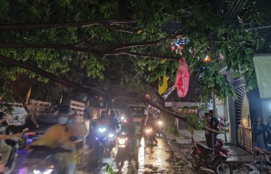 pohon yang tumbang di Jalan KH Muchtar Tabrani
