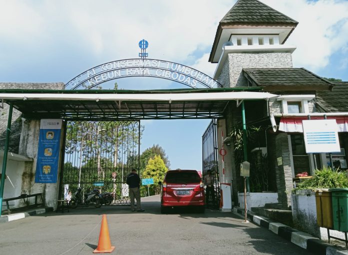 wisata Kebun Raya Cibodas