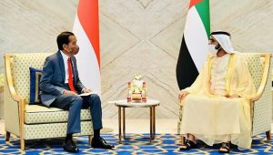 Kemenko Marves: Uni Emirat Arab akan jadi mitra bangun ibu kota baru