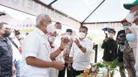 Menko Airlangga : Kemitraan Agribisnis Closed Loop Bisa Tingkatkan Kesejahteraan Petani