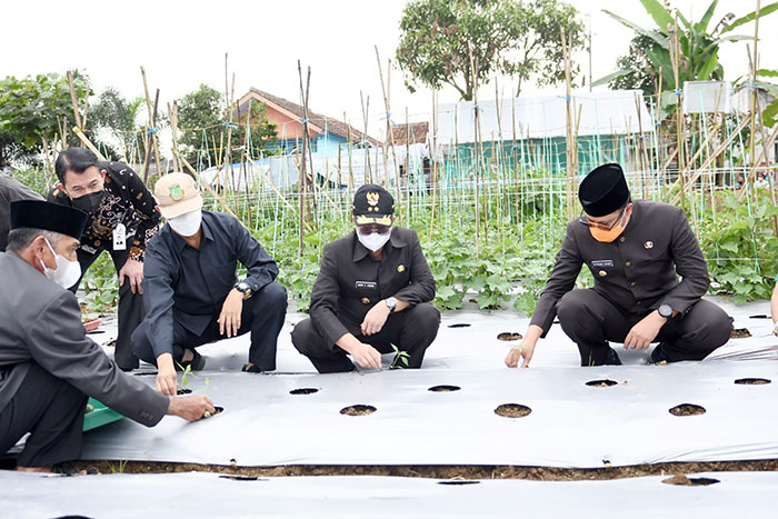 Walikota Sukabumi, Achmad Fahmi