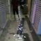 Basement Blok B Pasar Kebon Kembang
