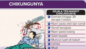 Chikungunya Teror Warga Nagrak Cianjur