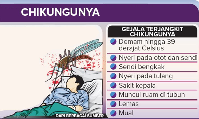 Cikungunya