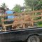 FKDB-Kabupaten-Sukabumi