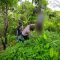 Gantung Dir Ciemas