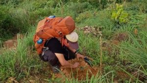 Hari Pohon se-Dunia, Gelar Penanaman di Jalur Pendakian Gunung Kuta Sukamakmur
