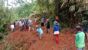 150 Ha Sawah di Desa Panumbangan Terancam Gagal Panen