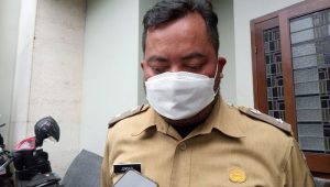 Kelurahan Sindangsari Kembangkan Jahe Merah
