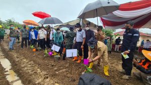 Distan Kabupaten Sukabumi Sediakan Lahan 20 Hektare Khusus Tanam Pisang