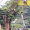 PT PLN UP3 Sukabumi