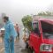 Pohon Tumbang