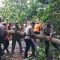 pohon tumbang di Jalan Raya Palabuhanratu