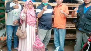 Cuan Budidaya Porang di Sukabumi Menggiurkan