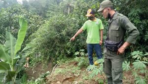 Retakan Tanah Baru Desa Cimerang Sukabumi, Ancam 25 Jiwa