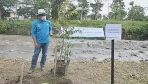 Gubernur Jabar Bersama Bupati dan Wali Kota Tanam 10 Juta Pohon