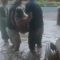 banjir di Kecamatan Karangtengah.